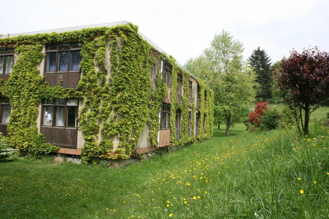 Talblick Appartement in traumhafter Lage! Ober-Hambach Exterior foto